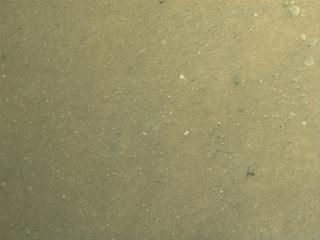 View image taken on Mars, Mars Perseverance Sol 1558: Left Navigation Camera (Navcam)