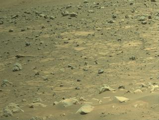 View image taken on Mars, Mars Perseverance Sol 1558: Left Navigation Camera (Navcam)