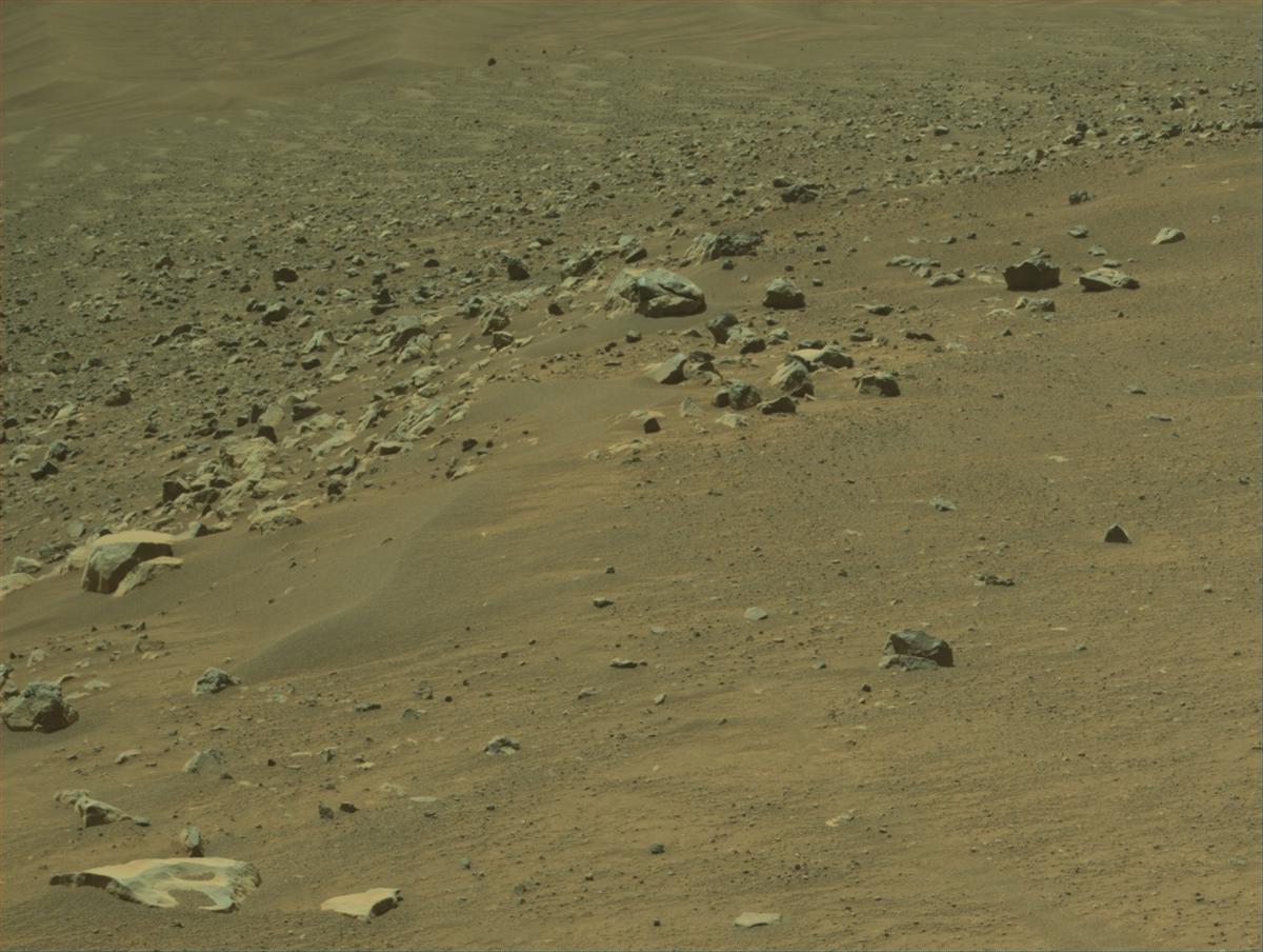 This image was taken by NAVCAM_LEFT onboard NASA's Mars rover Perseverance on Sol 1558