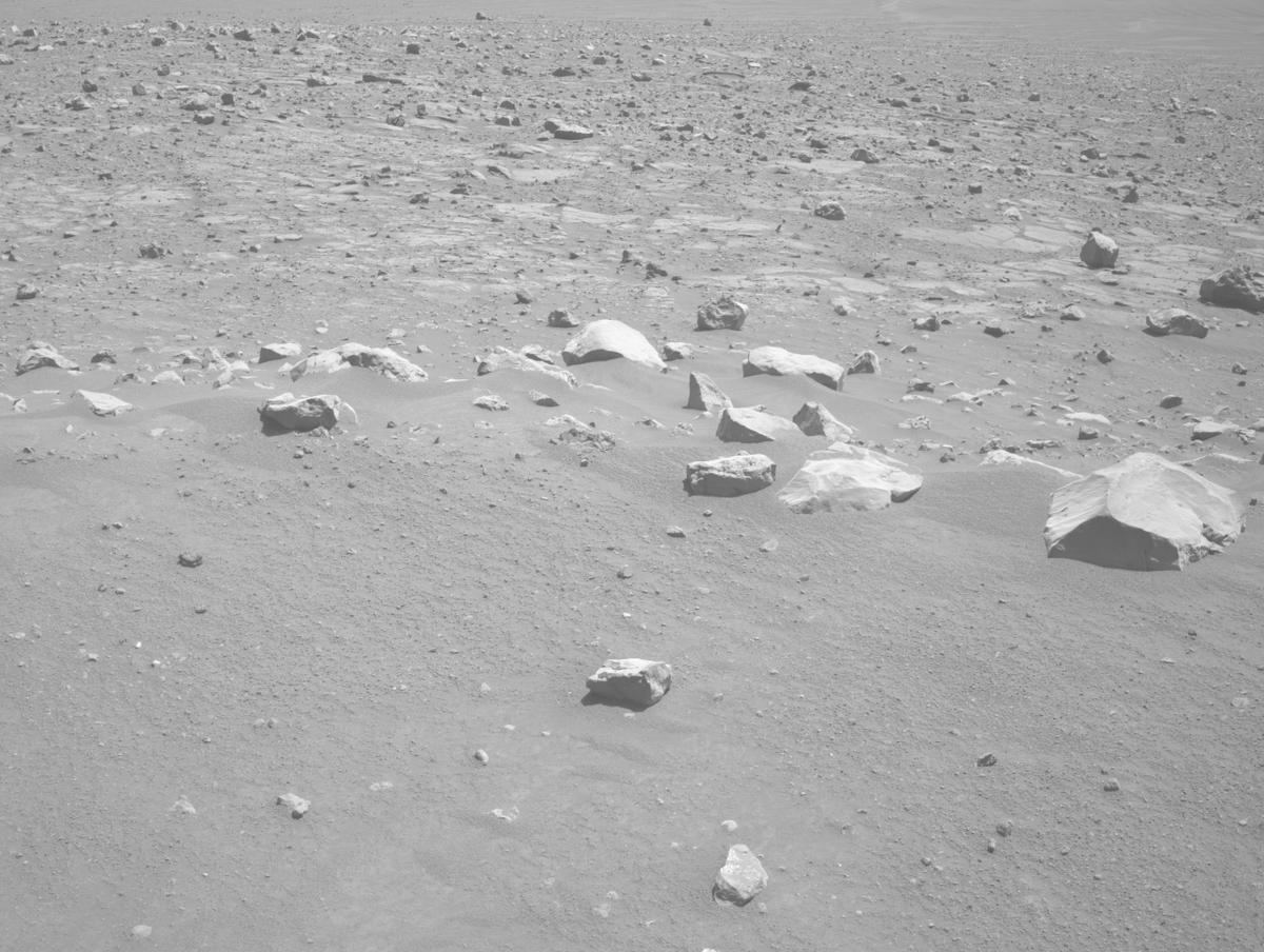 This image was taken by NAVCAM_LEFT onboard NASA's Mars rover Perseverance on Sol 1558