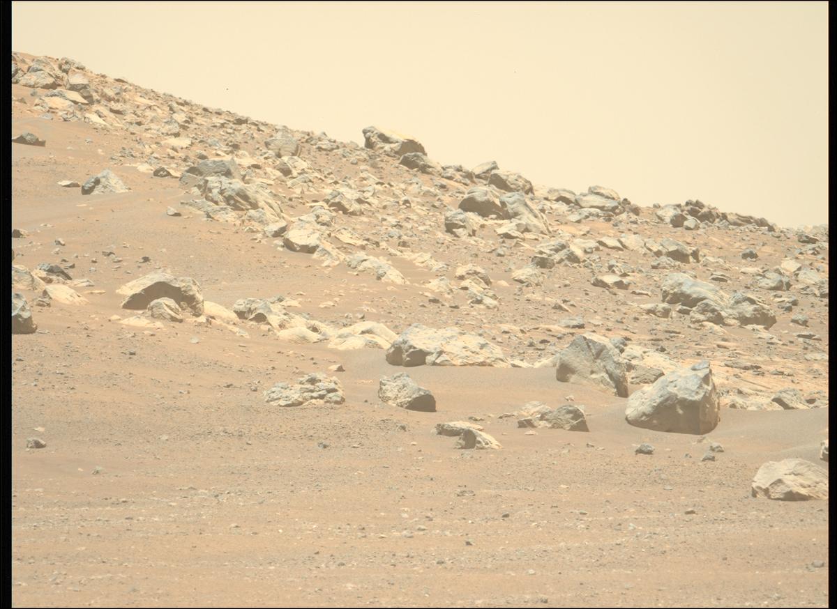 This image was taken by MCZ_LEFT onboard NASA's Mars rover Perseverance on Sol 1558
