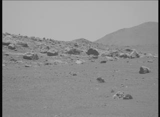 View image taken on Mars, Mars Perseverance Sol 1558: Left Mastcam-Z Camera