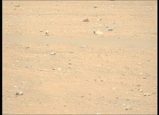 View image taken on Mars, Mars Perseverance Sol 1558: Left Mastcam-Z Camera