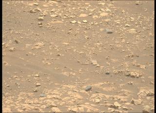View image taken on Mars, Mars Perseverance Sol 1558: Left Mastcam-Z Camera