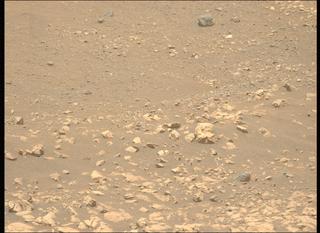 View image taken on Mars, Mars Perseverance Sol 1558: Left Mastcam-Z Camera