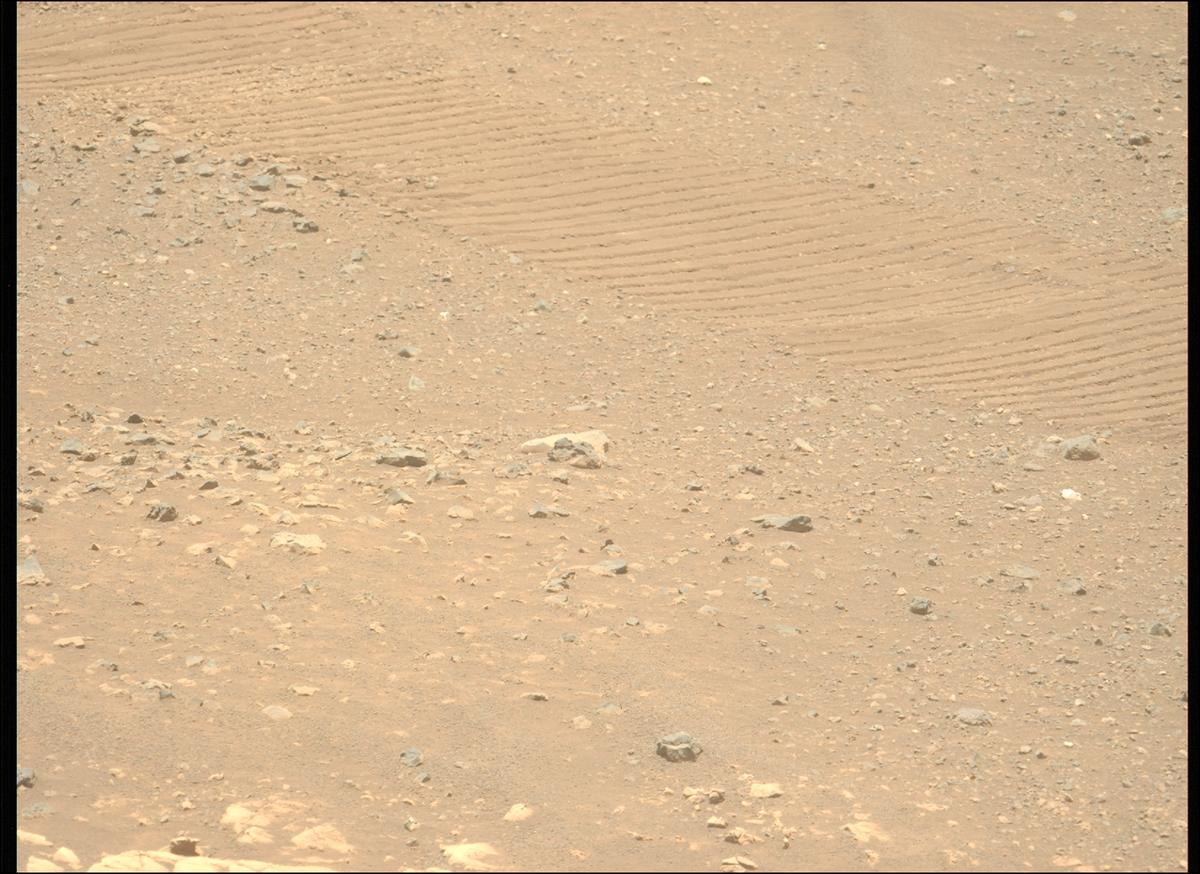This image was taken by MCZ_LEFT onboard NASA's Mars rover Perseverance on Sol 1558