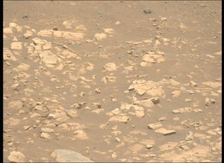 View image taken on Mars, Mars Perseverance Sol 1558: Left Mastcam-Z Camera