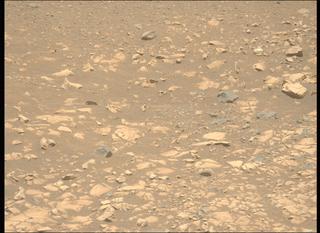 View image taken on Mars, Mars Perseverance Sol 1558: Left Mastcam-Z Camera