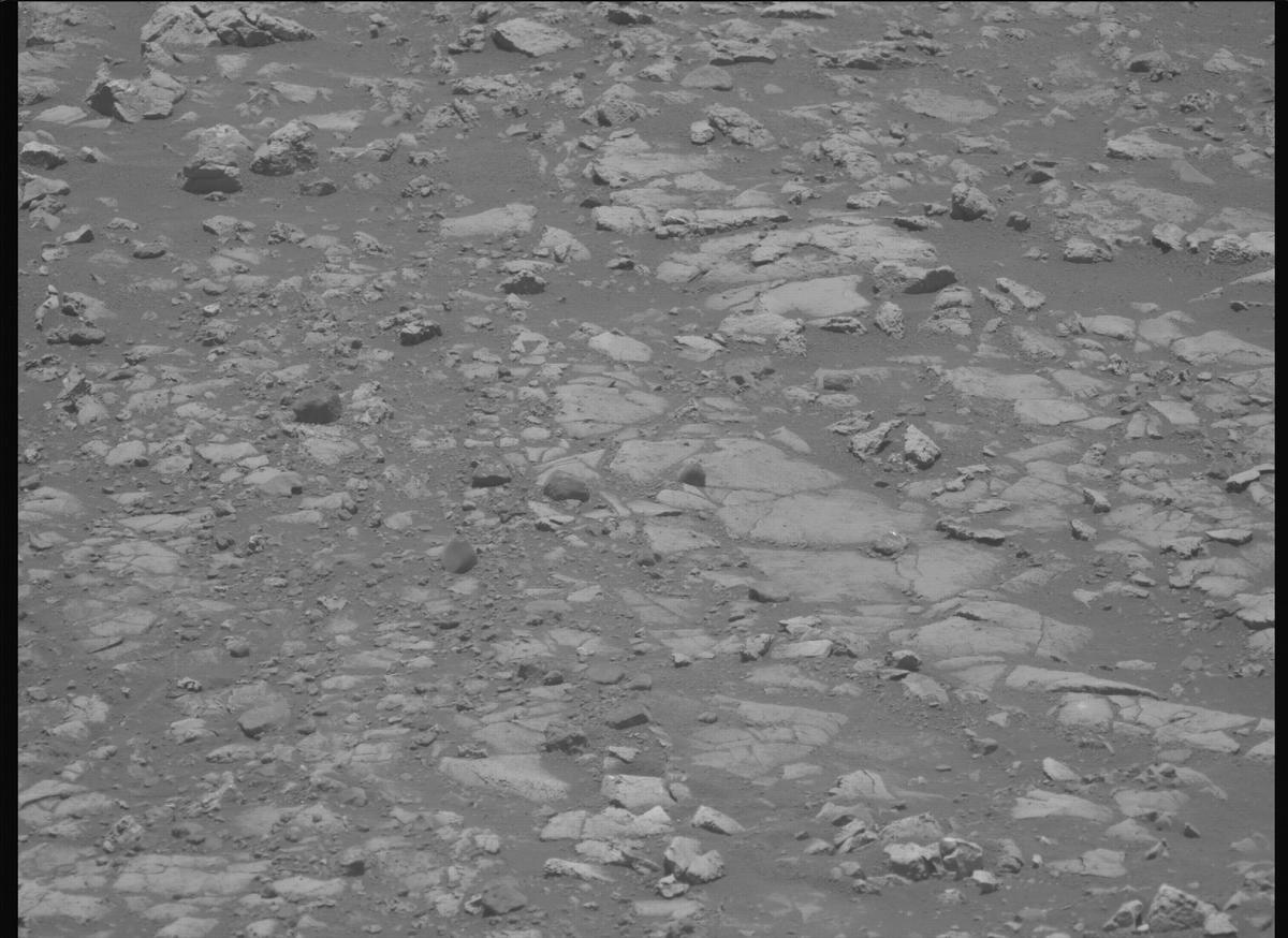 This image was taken by MCZ_LEFT onboard NASA's Mars rover Perseverance on Sol 1558
