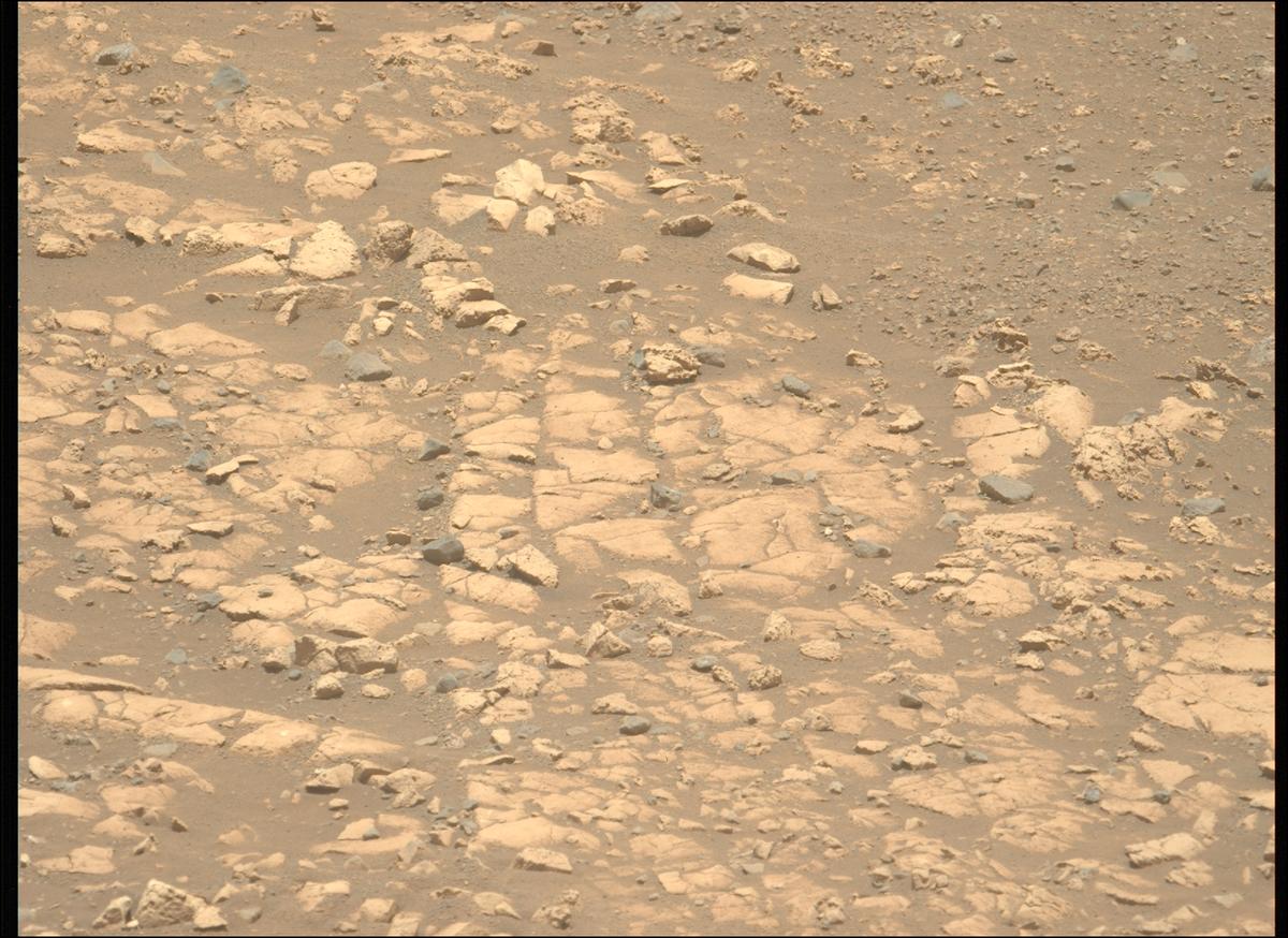 This image was taken by MCZ_LEFT onboard NASA's Mars rover Perseverance on Sol 1558