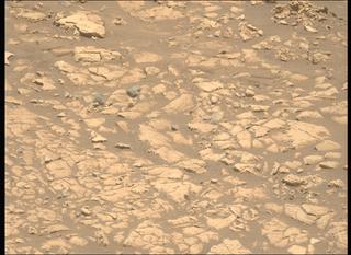 View image taken on Mars, Mars Perseverance Sol 1558: Left Mastcam-Z Camera