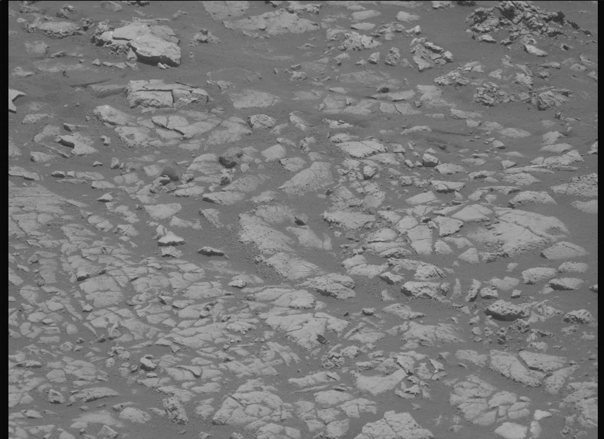 This image was taken by MCZ_LEFT onboard NASA's Mars rover Perseverance on Sol 1558