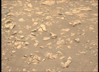 View image taken on Mars, Mars Perseverance Sol 1558: Left Mastcam-Z Camera