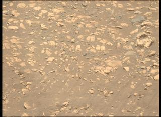 View image taken on Mars, Mars Perseverance Sol 1558: Left Mastcam-Z Camera