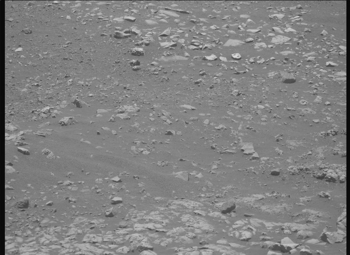 This image was taken by MCZ_RIGHT onboard NASA's Mars rover Perseverance on Sol 1558