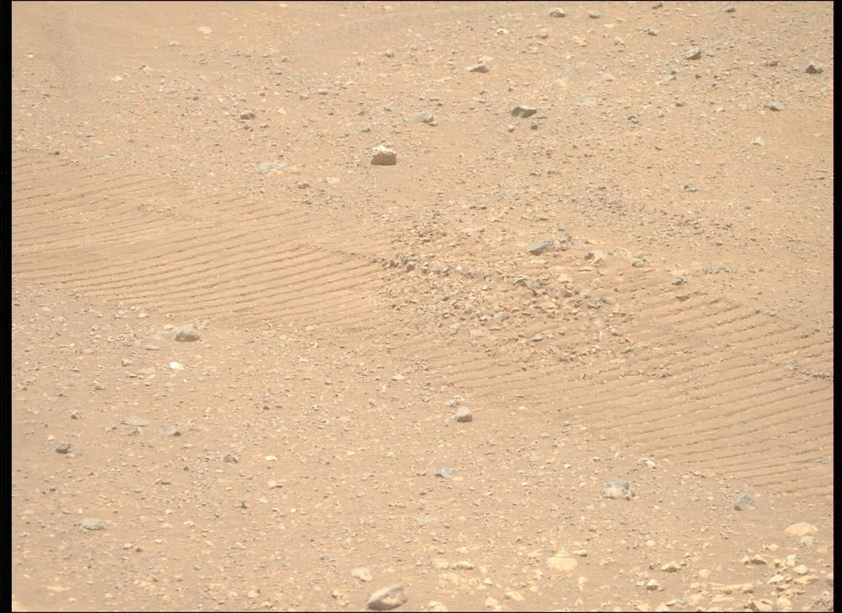 This image was taken by MCZ_RIGHT onboard NASA's Mars rover Perseverance on Sol 1558