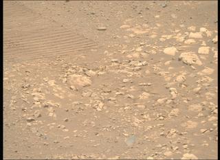 View image taken on Mars, Mars Perseverance Sol 1558: Right Mastcam-Z Camera