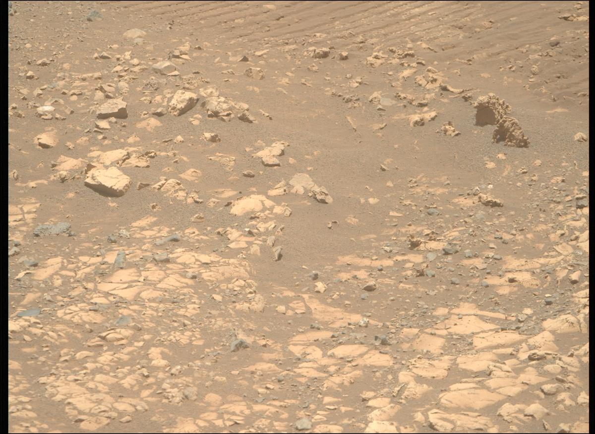 This image was taken by MCZ_RIGHT onboard NASA's Mars rover Perseverance on Sol 1558