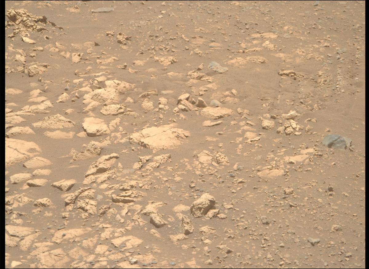 This image was taken by MCZ_RIGHT onboard NASA's Mars rover Perseverance on Sol 1558