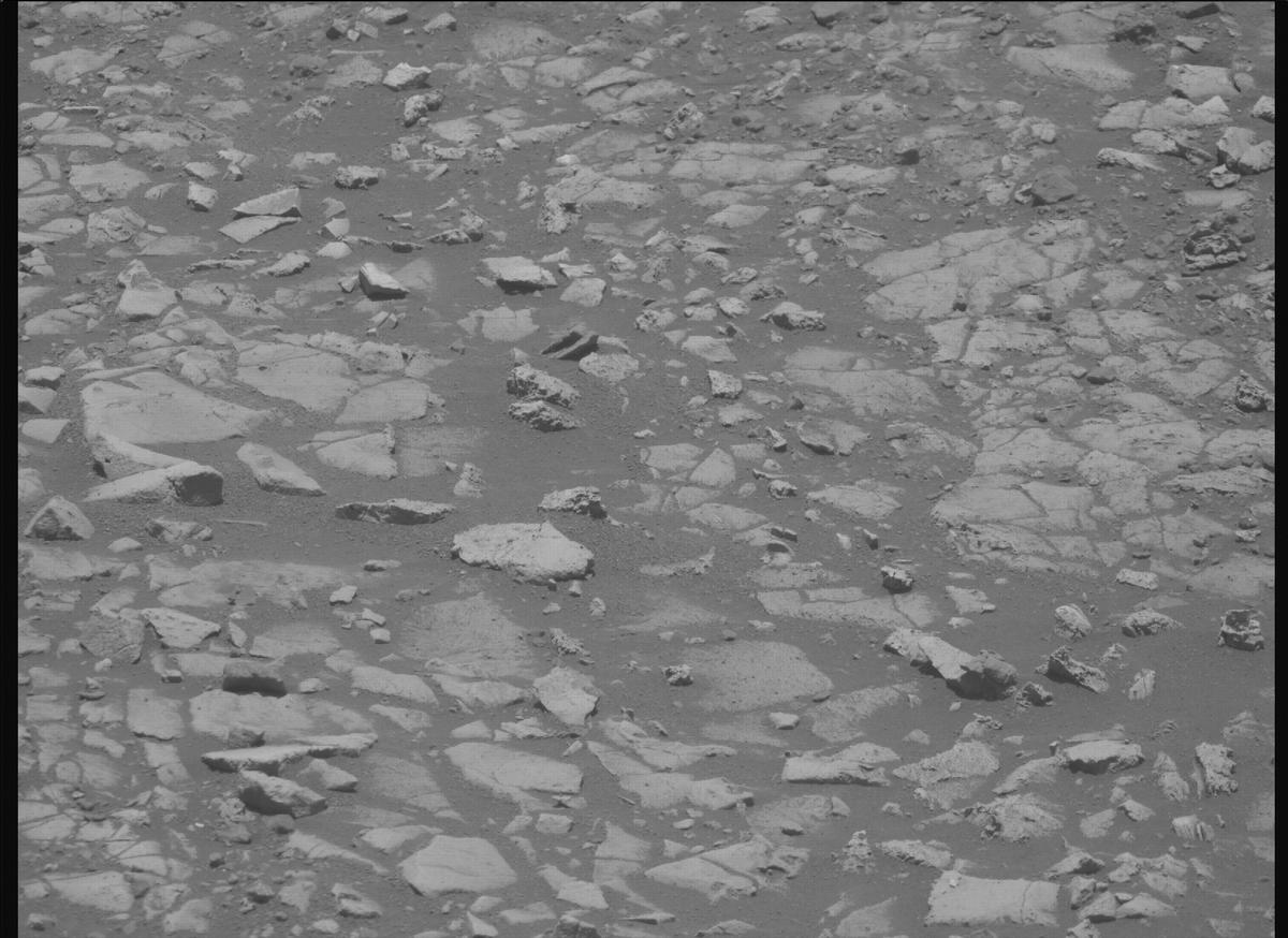 This image was taken by MCZ_RIGHT onboard NASA's Mars rover Perseverance on Sol 1558