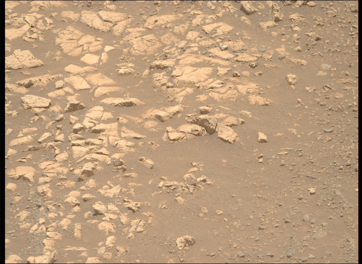 This image was taken by MCZ_RIGHT onboard NASA's Mars rover Perseverance on Sol 1558