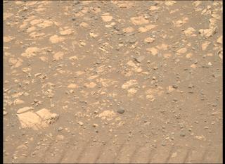 View image taken on Mars, Mars Perseverance Sol 1558: Right Mastcam-Z Camera