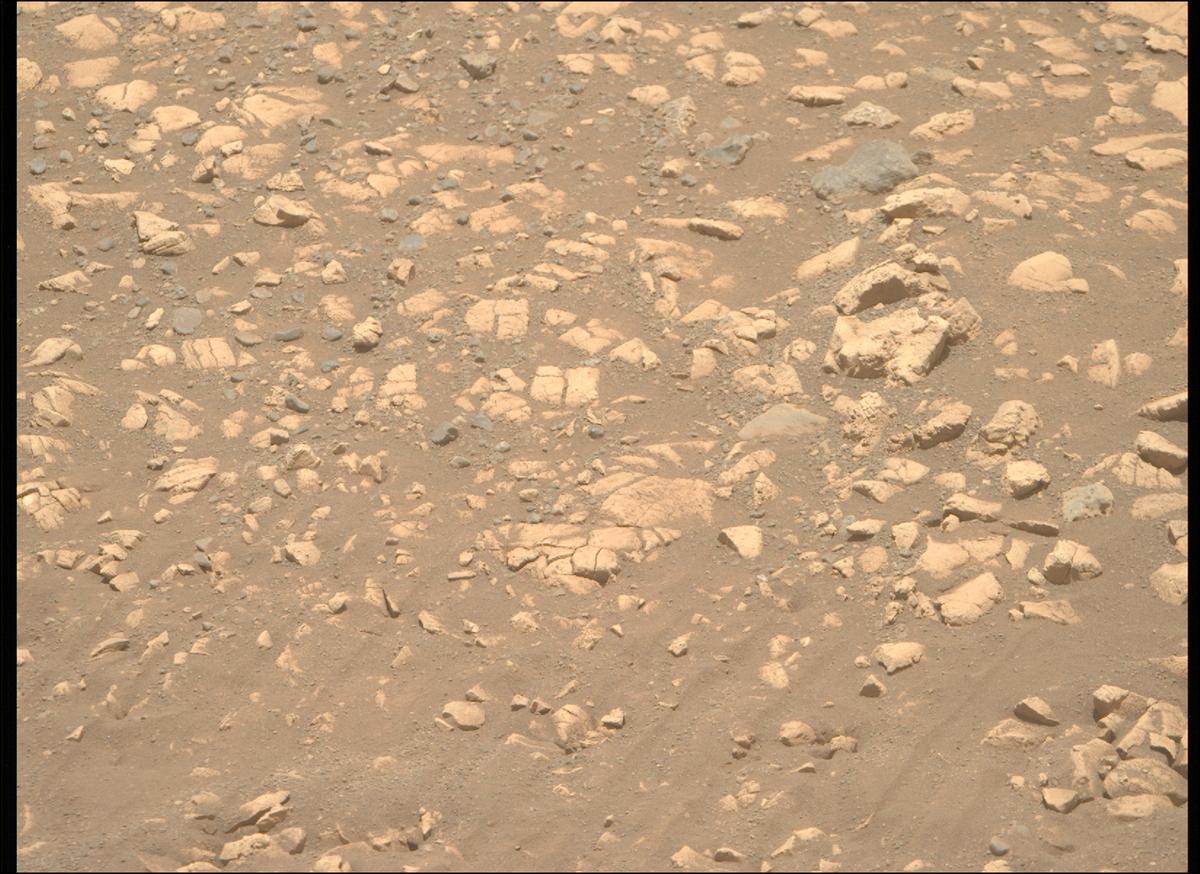 This image was taken by MCZ_RIGHT onboard NASA's Mars rover Perseverance on Sol 1558