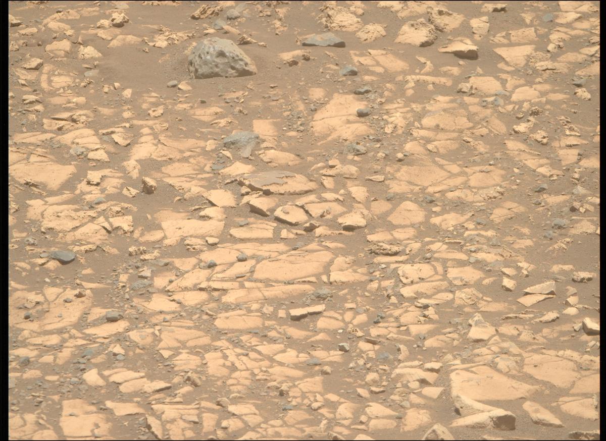 This image was taken by MCZ_RIGHT onboard NASA's Mars rover Perseverance on Sol 1558