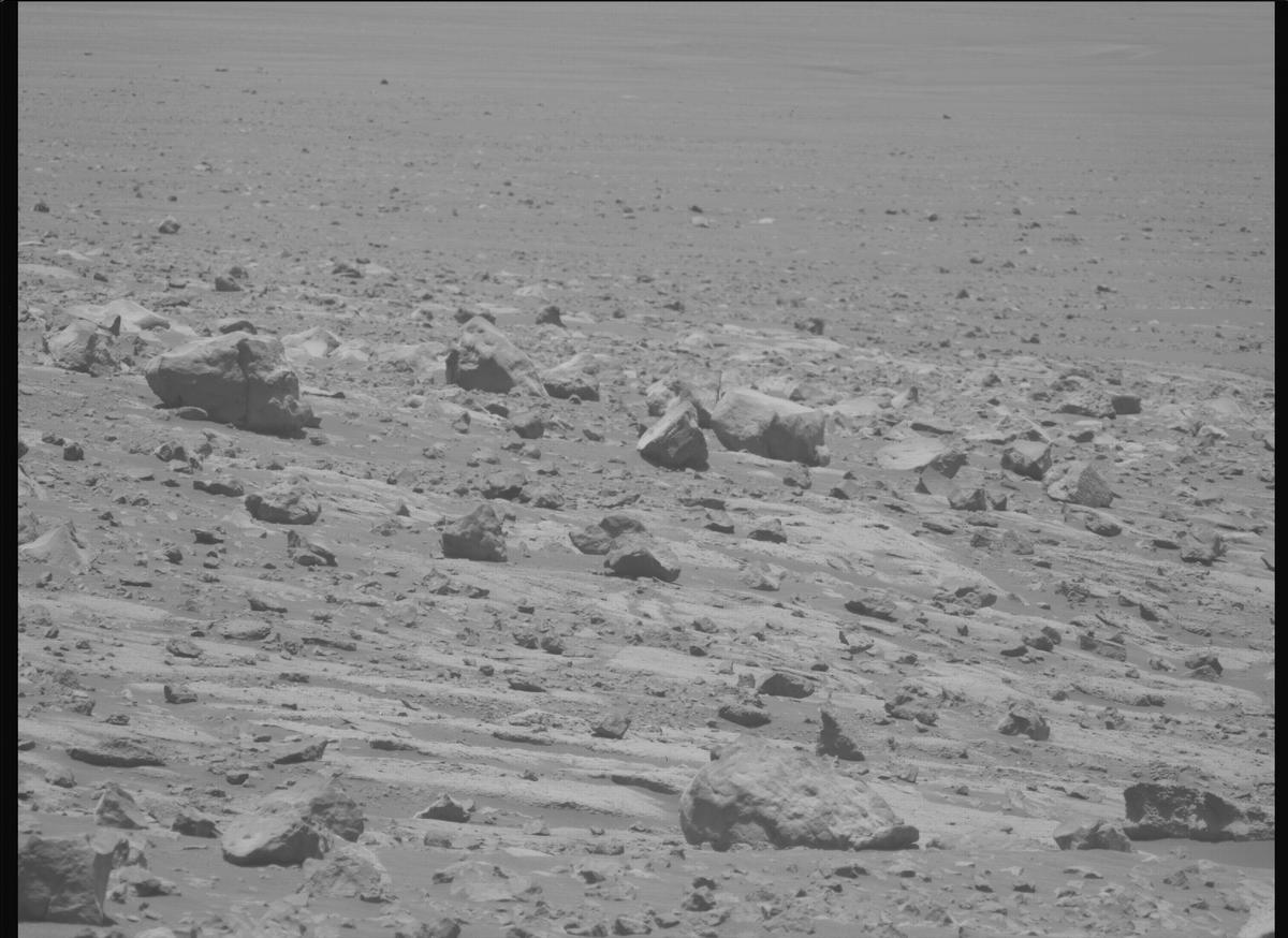 This image was taken by MCZ_LEFT onboard NASA's Mars rover Perseverance on Sol 1560