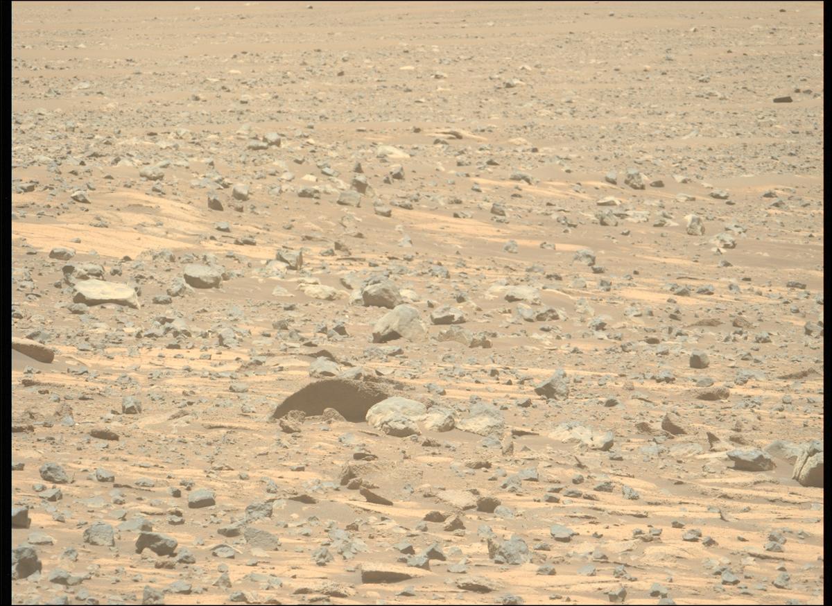 This image was taken by MCZ_LEFT onboard NASA's Mars rover Perseverance on Sol 1560