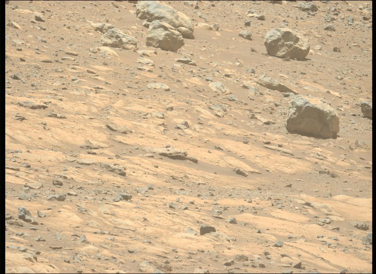 This image was taken by MCZ_LEFT onboard NASA's Mars rover Perseverance on Sol 1560