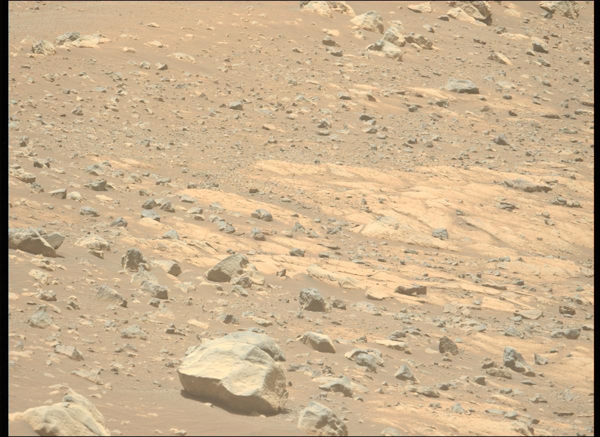 This image was taken by MCZ_LEFT onboard NASA's Mars rover Perseverance on Sol 1560