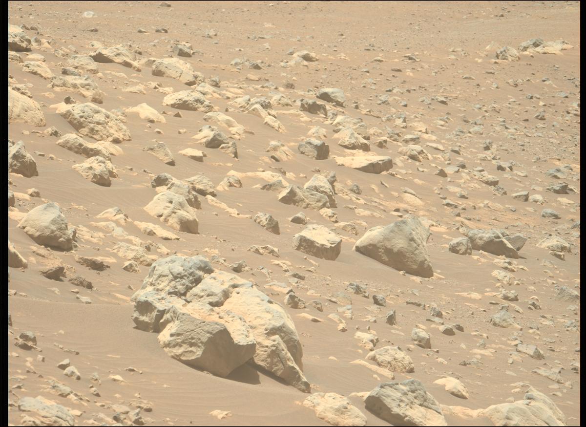 This image was taken by MCZ_LEFT onboard NASA's Mars rover Perseverance on Sol 1560