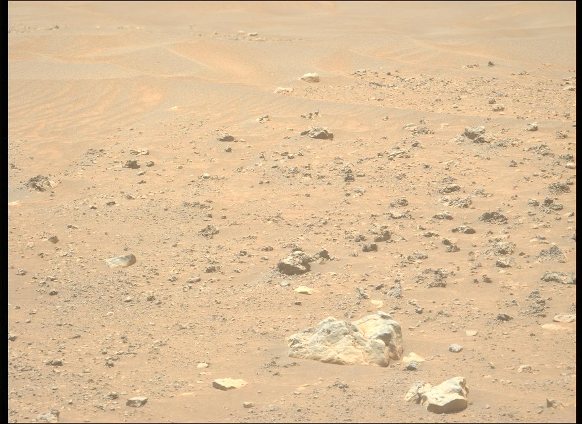 This image was taken by MCZ_LEFT onboard NASA's Mars rover Perseverance on Sol 1560
