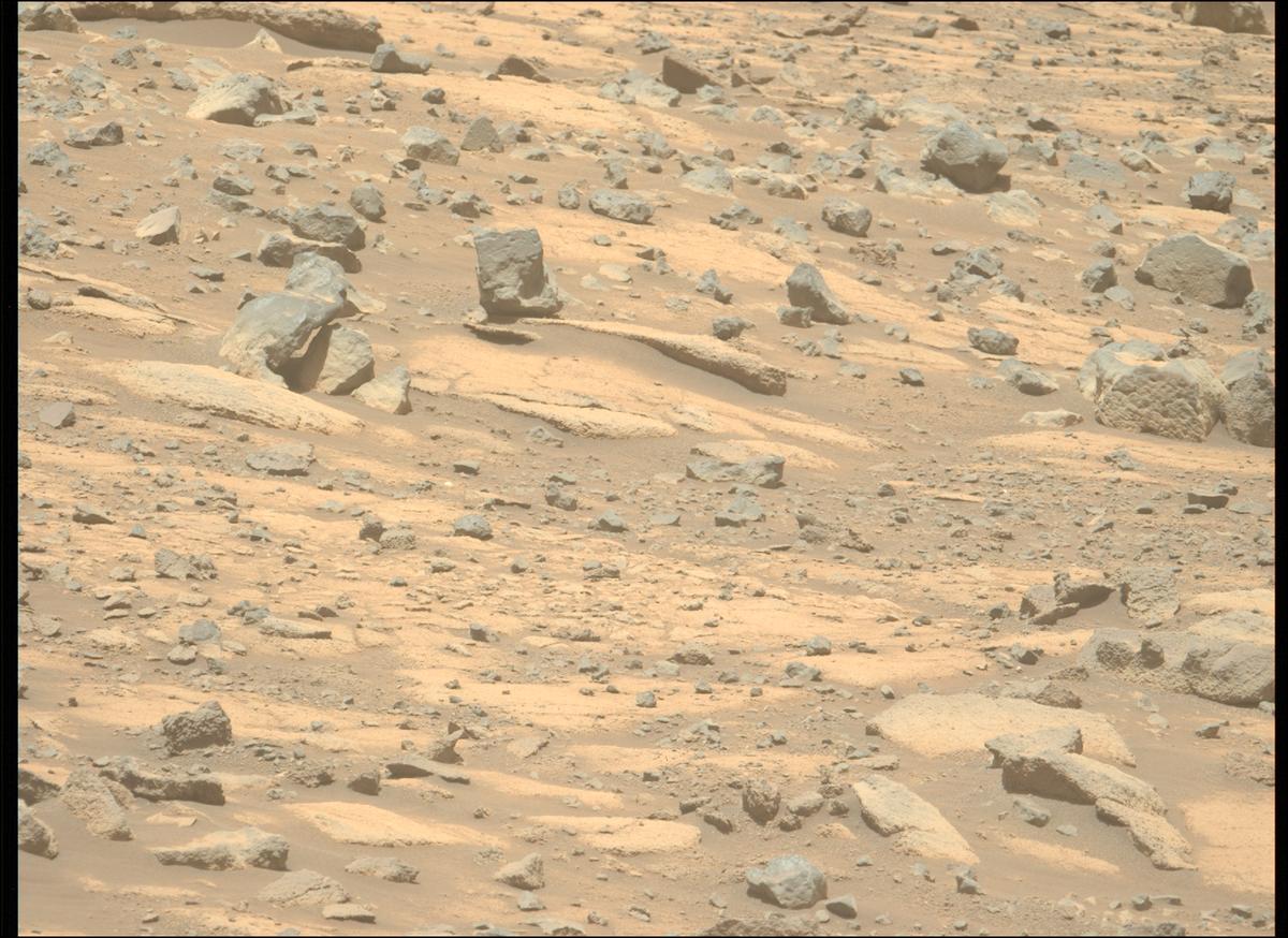 This image was taken by MCZ_LEFT onboard NASA's Mars rover Perseverance on Sol 1560