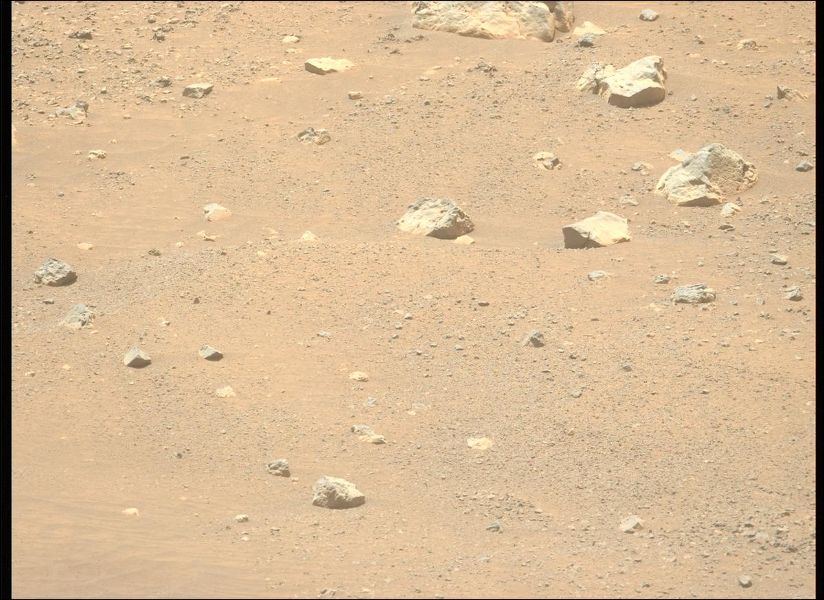 This image was taken by MCZ_LEFT onboard NASA's Mars rover Perseverance on Sol 1560