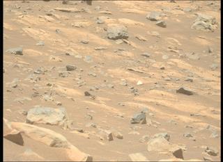 View image taken on Mars, Mars Perseverance Sol 1560: Left Mastcam-Z Camera