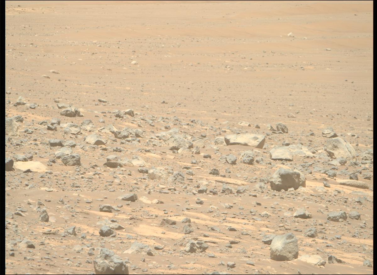 This image was taken by MCZ_RIGHT onboard NASA's Mars rover Perseverance on Sol 1560