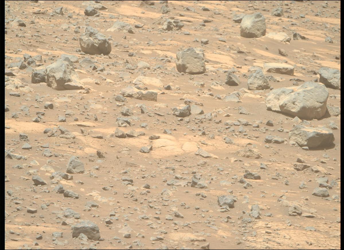 This image was taken by MCZ_RIGHT onboard NASA's Mars rover Perseverance on Sol 1560