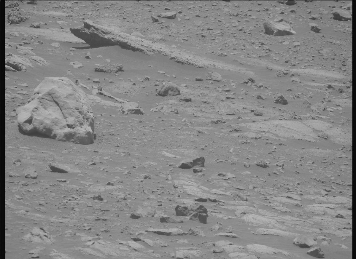 This image was taken by MCZ_RIGHT onboard NASA's Mars rover Perseverance on Sol 1560