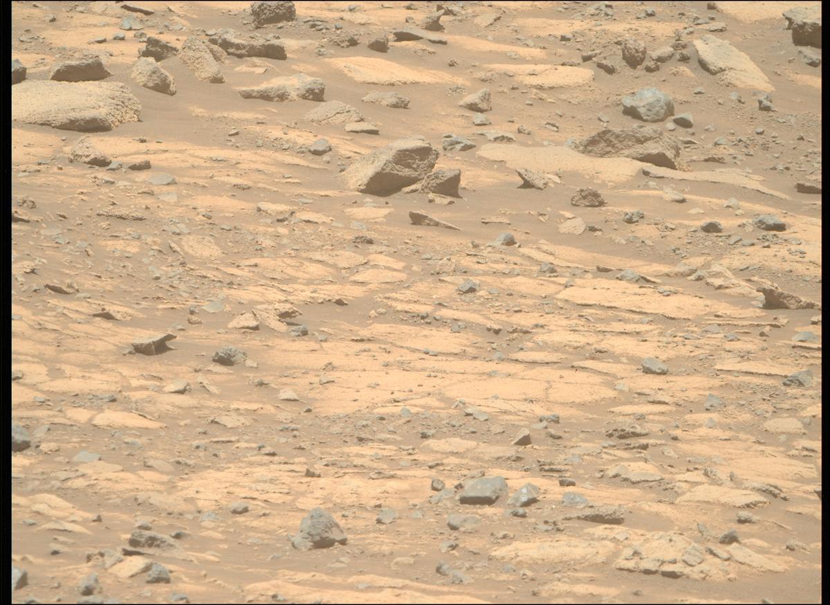 This image was taken by MCZ_RIGHT onboard NASA's Mars rover Perseverance on Sol 1560
