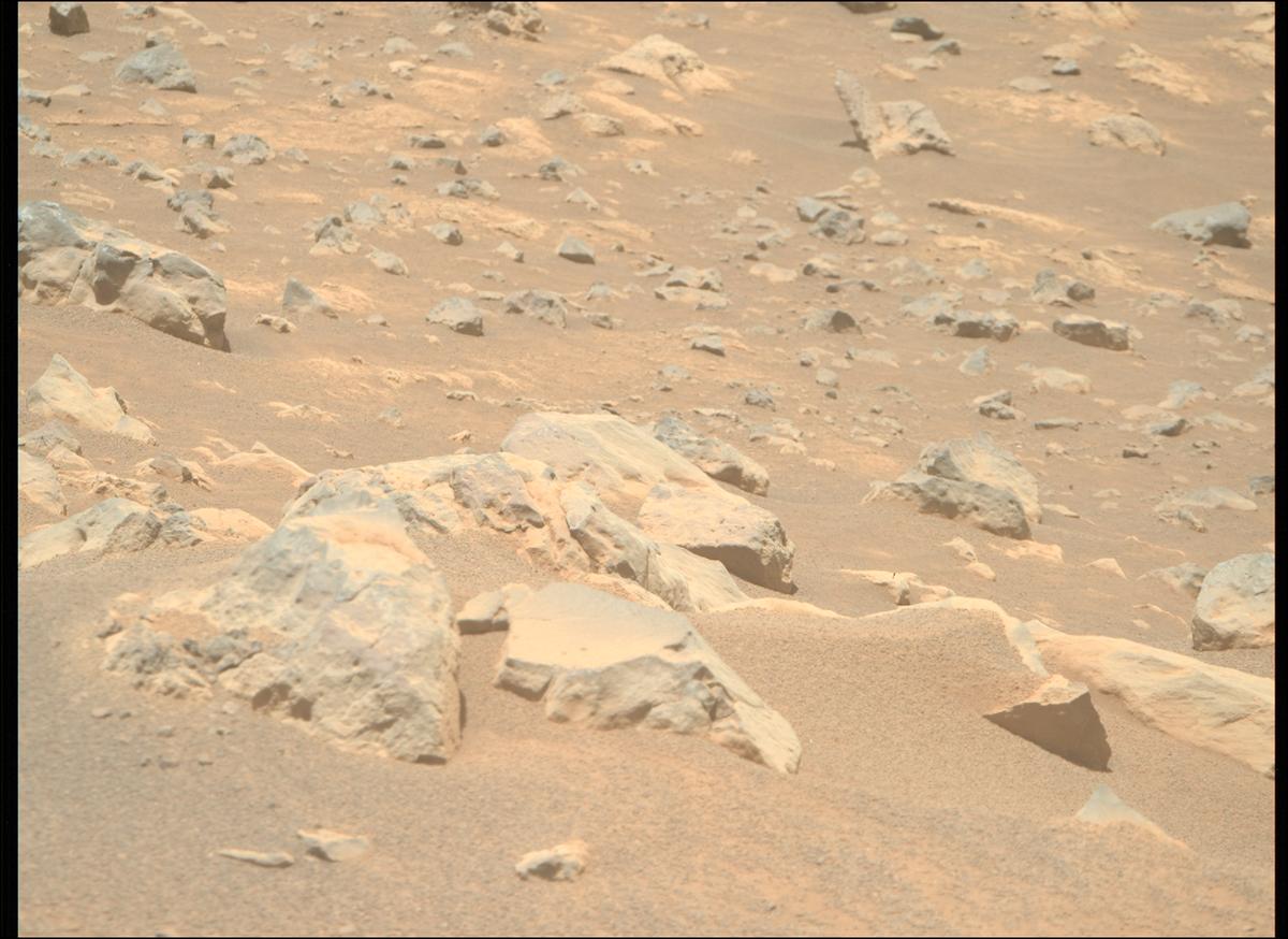 This image was taken by MCZ_RIGHT onboard NASA's Mars rover Perseverance on Sol 1560