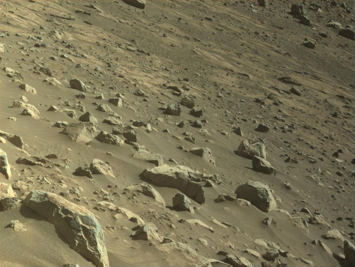 This image was taken by NAVCAM_LEFT onboard NASA's Mars rover Perseverance on Sol 1562