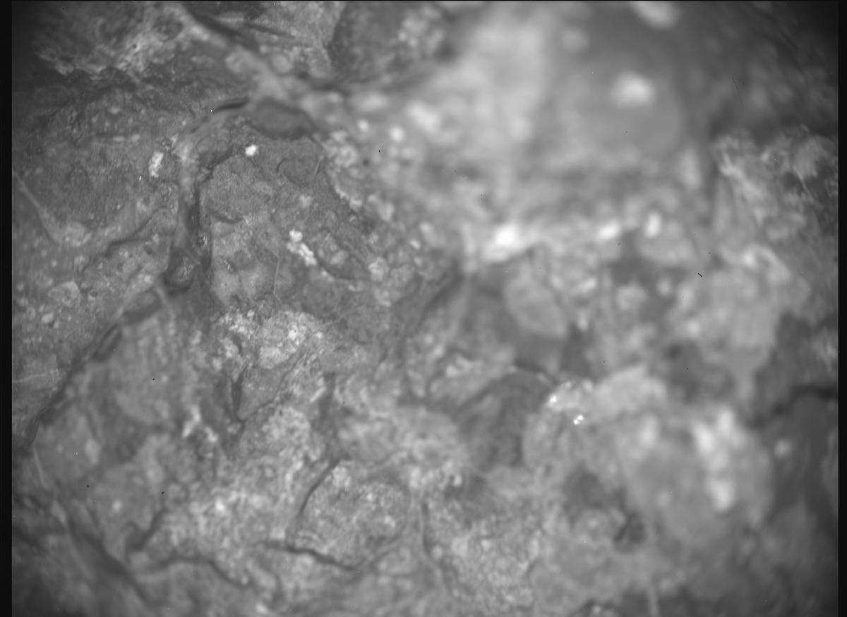 This image was taken by SHERLOC_ACI onboard NASA's Mars rover Perseverance on Sol 1562