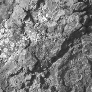 View image taken on Mars, Mars Perseverance Sol 1562: WATSON Camera 