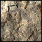 View image taken on Mars, Mars Perseverance Sol 1562: WATSON Camera 