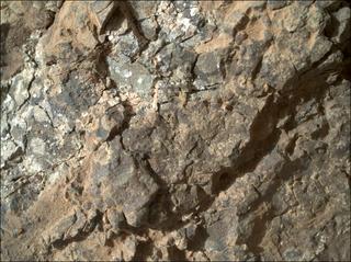 View image taken on Mars, Mars Perseverance Sol 1562: WATSON Camera 