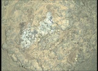 View image taken on Mars, Mars Perseverance Sol 1562: WATSON Camera 