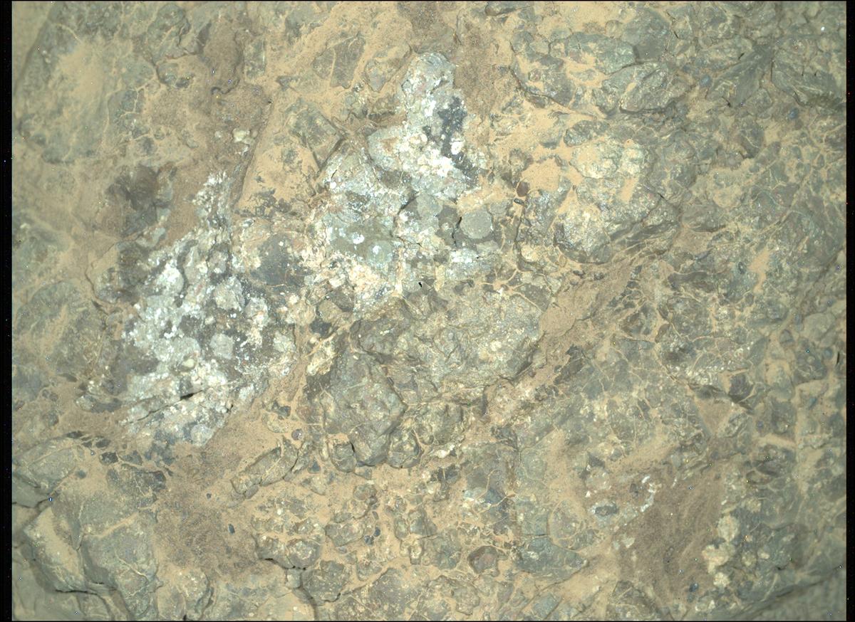 This image was taken by SHERLOC_WATSON onboard NASA's Mars rover Perseverance on Sol 1562