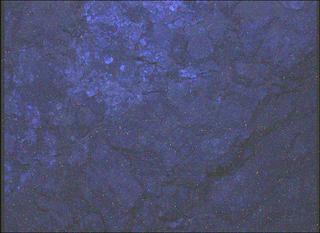 View image taken on Mars, Mars Perseverance Sol 1562: WATSON Camera 